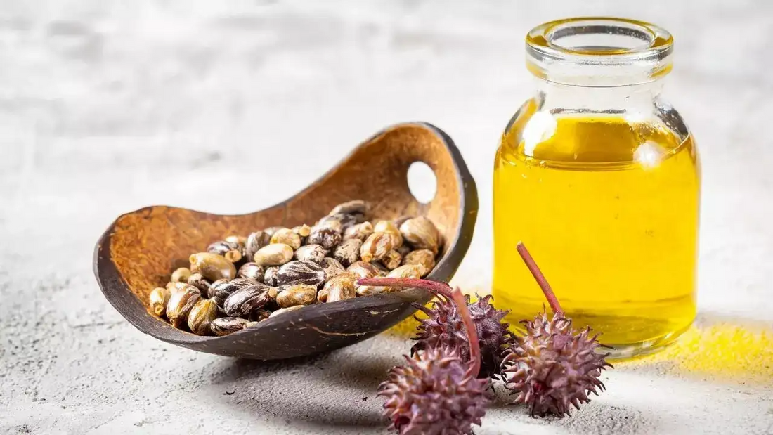 Why Castor Oil is a Classic for Thicker Hair